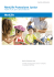 Fascicolo Informativo Protezione Junior
