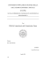 Tesi Laura Silvia Lione