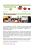 Meeting annuale Euroguidance, esperti a confronto