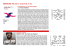 Fai click qui per visualizzare il file PDF