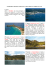 ITINERARIO CROCIERA MARTINICA- GRENADINES