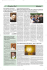 Pagine 2 e 3