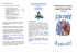 2015-04-25 opuscolo-pediculosi - Braschi