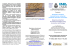 scarica pieghevole dell` annuncio finale in formato pdf
