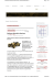 Scarica PDF - Museo Nicolis