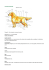 Standard Italiano - Anyshade Allevamento Golden Retriever