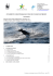 CENSIMENTO E MONITORAGGIO CETACEI IN GOLFO DI TRIESTE