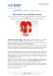 Design – Performance IDP presenta il nuovo dissipatore Zalman