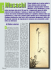 Musashi - luni editrice