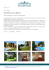 Villa Porto Cervo Marina
