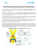 UNICEF Italia al Festival Internazionale“Lucca Comics and Games”