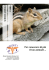 Tamia - Clinica Veterinaria Omniavet