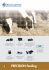 PRECISION feeding - Dinamica Generale