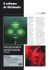 Articolo in formato PDF