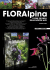 i fiori più belli delle nostre alpi