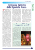 Castelfranco Informa1006.indd - Comune di Castelfranco Veneto