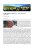 Mostra l`articolo - Santa Rufina