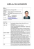Curriculum vitae 2013