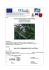 Relazione illustrativa - Comune di Auronzo di Cadore