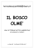 Guida al Bosco Olmè