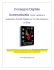 Consegna Digitale su Ebay