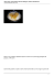 Sacher torte, crepes Suzette, filetto alla Wellington, bistecca