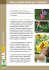Fiori e piante ideali per i bambini