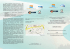 PROGETTO EUROPEO COASTANCE “Azioni Regionali Strategiche