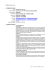 Curriculum Torricelli