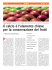 Scarica l`articolo completo (file  | 146 Kb)
