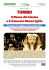 Torino: Museo del Cinema e Museo Egizio