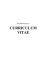 curriculum vitae - Medicina Unict