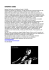 Barbara Gobbi - Musicplus.it