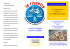 in formato PDF