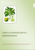 Programma aromaterapia