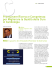 Linee Programmatiche 2010/2012