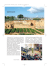 Il florovivaismo a Marsala