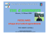 STAGE PICCOLI AMICI [modalità compatibilità]