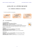 2_POF 2015-2016C_allegato_cap 4