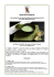 brochure - Alderan Viaggi