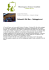 Visualizza scheda in PDF