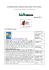 notizie flash0114