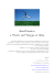 Questionario 4 Flussi dell`Energia di Base