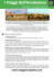 scarica il programma in pdf