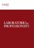 LABORATORIO per PROFESSIONISTI