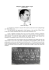 Aliengate: William Milton Cooper