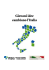 Giovani idee cambiano l`Italia