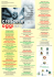 Versione pdf