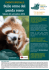Sulle orme del panda rosso