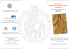 3-5 giugno 2015 - Dottorato Internazionale in Letteratura e Filologia